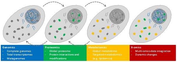 X-omics